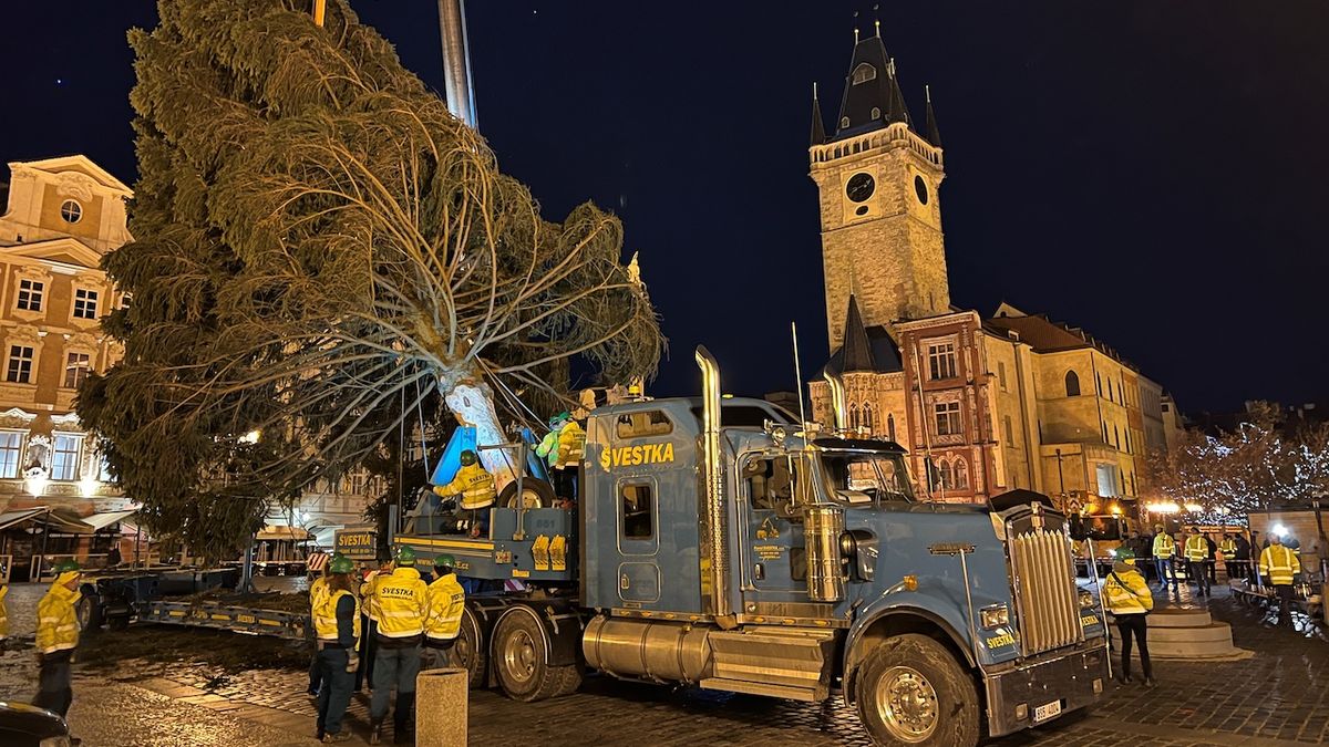 Na Staroměstské náměstí v Praze dorazil vánoční strom